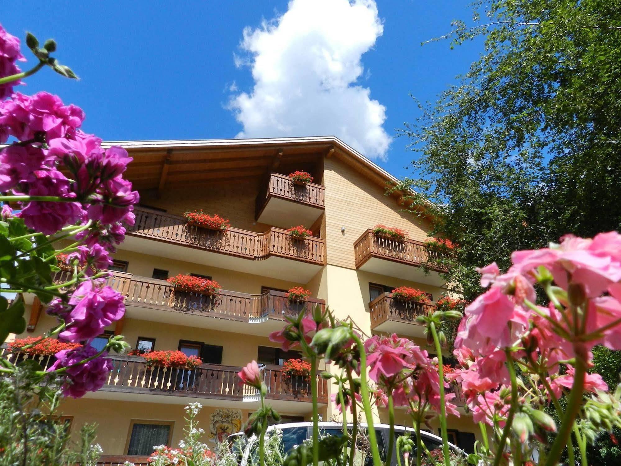Cimon Dolomites Hotel Predazzo Exterior photo